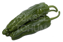 Spesiyal