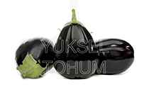 Topak