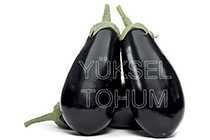 Yarı Topak