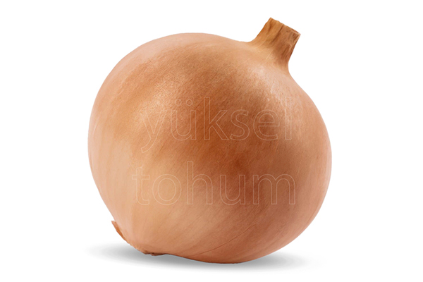 Uzun Gün