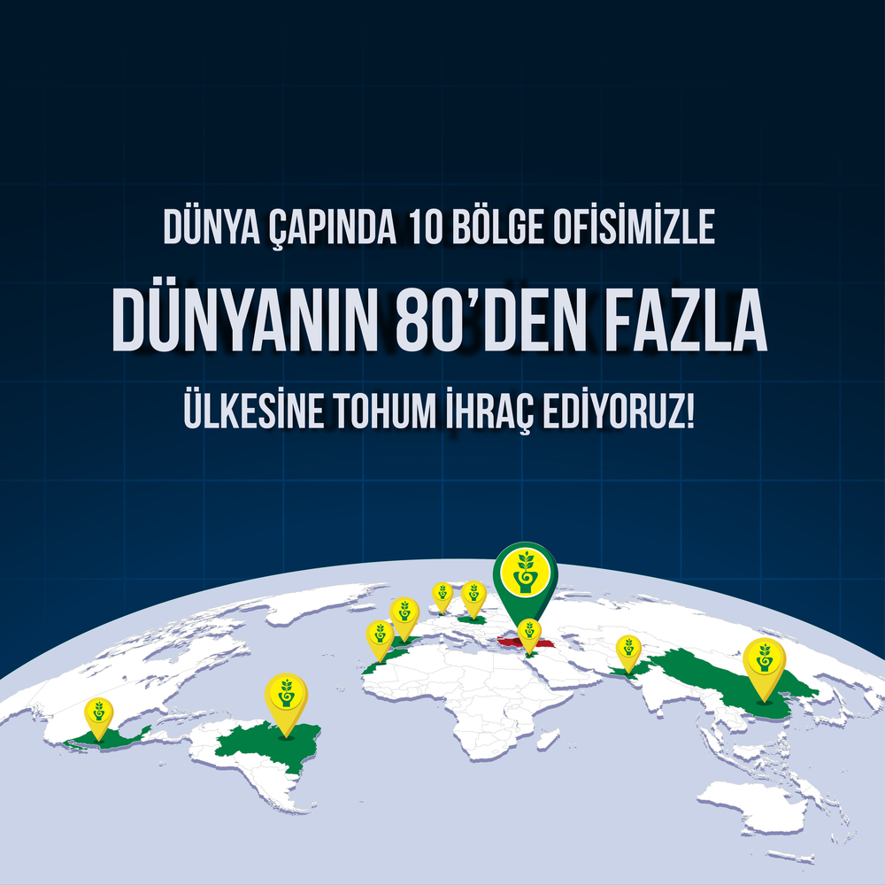 80+ Ülke