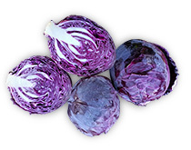 Red Cabbage Seed