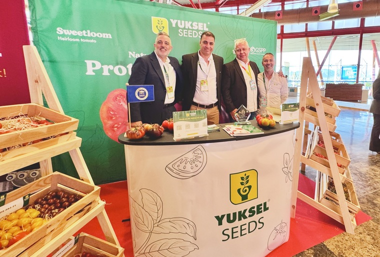 Yuksel Seeds pone en valor el tomate asurcado en el Tomato Congress de Granada