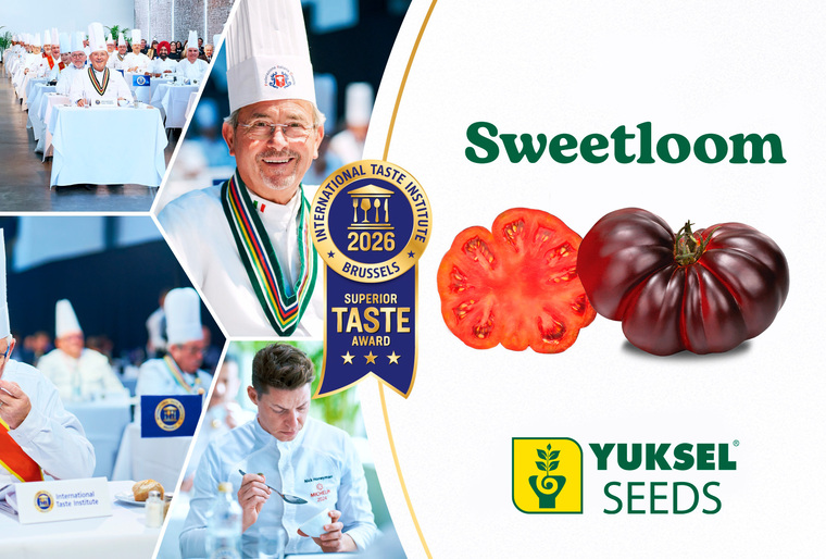 Sweetloom ponownie potwierdza swoją doskonałość smakową