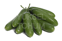 Badem Tipi