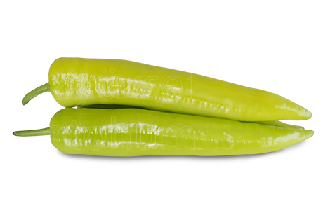 Lidya F1