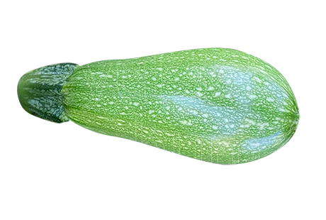 Zarife F1