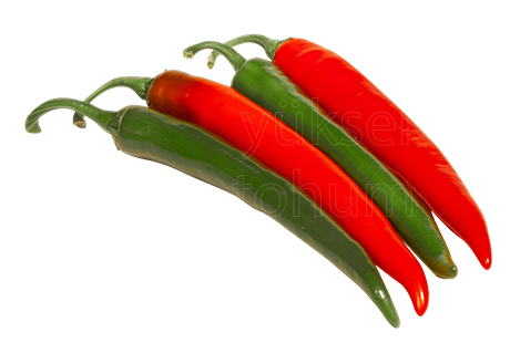 Avcı F1