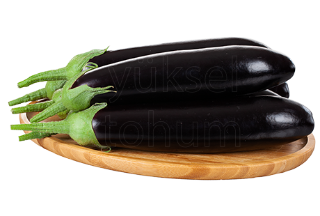 Fermanlı F1