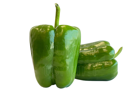 Biblo F1